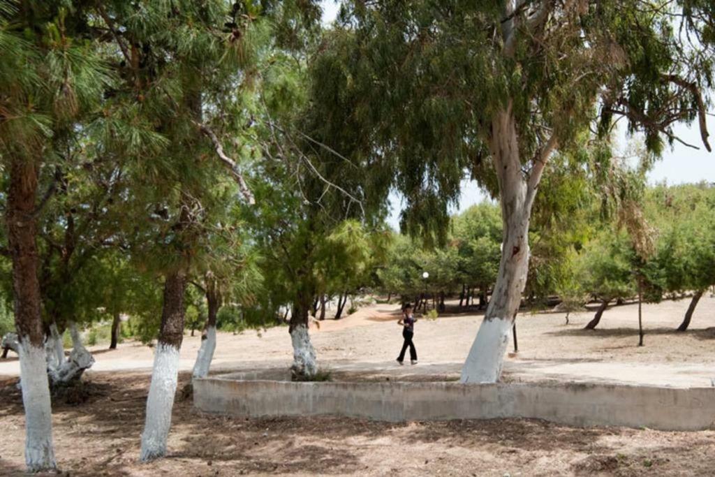 Orama Daire Kato Daratso Dış mekan fotoğraf